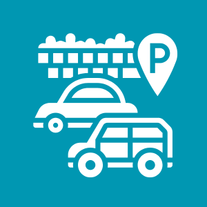 Parking and Vehicle Nuisance icon